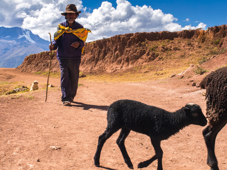 Moray, Peru - May 20, 2016: Peruvian Indian farmer with his sheep in the Sacred Valleyのeditorial素材