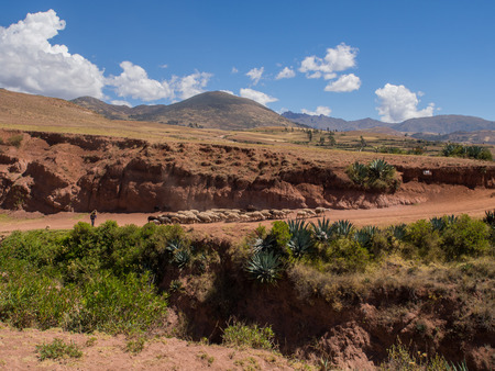 Moray, Peru - May 20, 2016: Peruvian Indian farmer with his sheep in the Sacred Valleyのeditorial素材