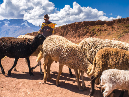 Moray, Peru - May 20, 2016: Peruvian Indian farmer with his sheep in the Sacred Valleyのeditorial素材