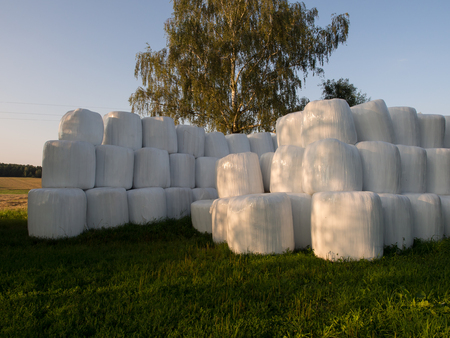 Bales of straw/ silage wrapped  in  white foil and arranged in a pyramidの写真素材