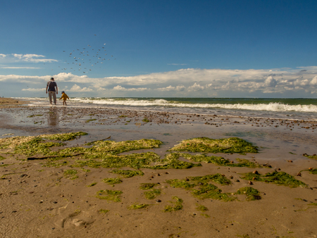 Mielenko, Poland - August 01, 2016:  A man  with a child by the seaのeditorial素材