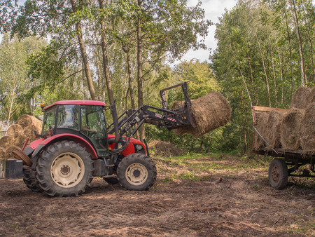 Wolka Zamkowa, Poland - August 13, 2016: Tractor rearranging   big bales of strawのeditorial素材