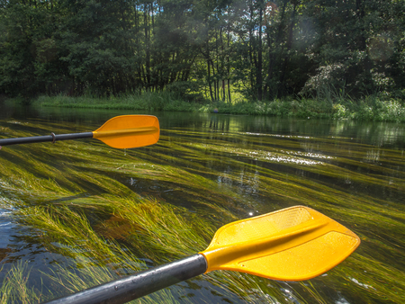 Paddles and their reflection in the riverの写真素材
