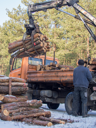 Jozefow, Poland - January  23, 2017: A man loading  cut tree trunks on a lorry using  a small crane liftのeditorial素材