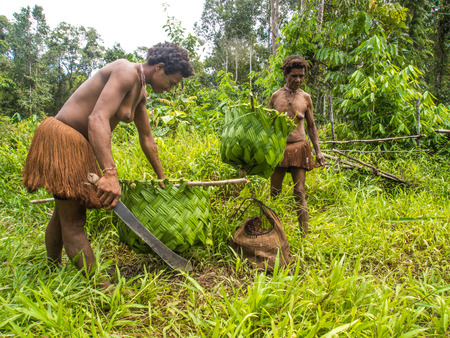 Jungle,  Indonesia - January 19, 2015: Two women from the Korowai tribe, wearing  only  grass skirts with traps for fish made of palm leavesのeditorial素材