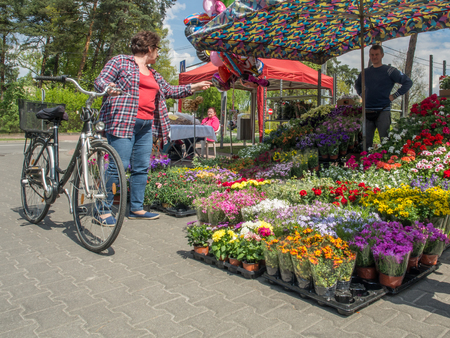 Jozefow, Poland - May 14, 2017: Spring flowers market with plenty of different, colorful plantsのeditorial素材