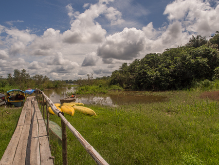 Kayaks waiting for the kayakers in the Amazon jungleの写真素材