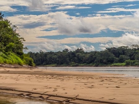 Beautiful sandy beach in Amazon jungle, during the low water season. Amazonia. Selva on the border...