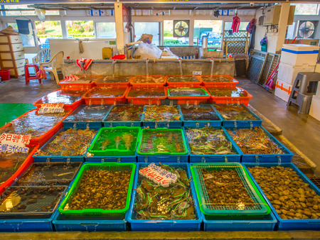 Fuji, Taiwan - October 03, 2016: Various fresh fish, shells and other sea creatures in containers on a stall  on a  Fuji fish marketのeditorial素材