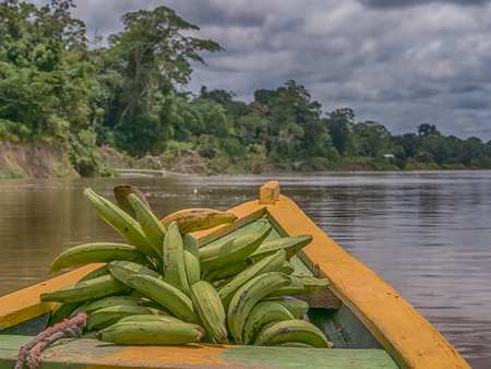 Paumari, Brazil- November 25, 2018: Traditional, indian boat and beautiful view with the reflection in the lagoon of Amazon jungle. Latin Americaの写真素材