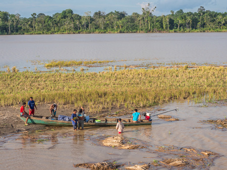 Amazon River, Peru - December 04 , 2018:  During the low water season, cultivation of rice appear in the middle of the Amazon River. South Americaのeditorial素材