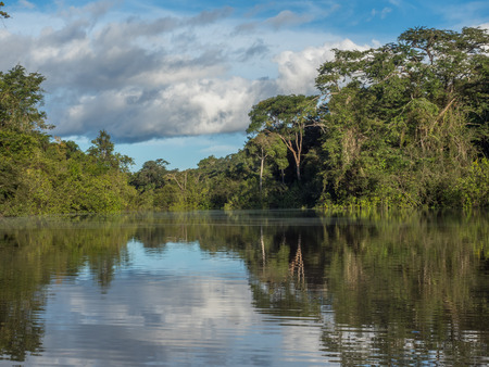 View of Coati Lagoon near the Javari River, the tributary of the Amazon River, Amazonia. Selva on...