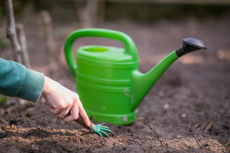 Hand of young woman is digging in the patch during springtime in the garden. Green watering can in the backgroundの写真素材