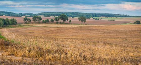 Panoramic view of the hills and fields after mowing the grain during the summer sunset. Warmia and Masuria. Polandの写真素材