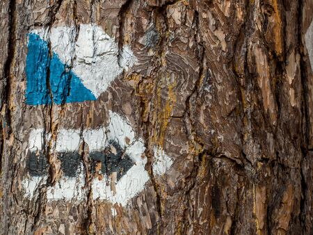 Signs of hiking and cycling hiking trails on the treesの写真素材