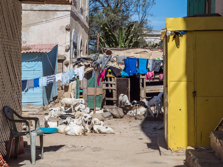 Goree, Senegal- February 2, 2019: Daily life on the  island Goree. GorÃ©e. Dakar, Senegal. Africa.のeditorial素材
