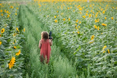 A woman with a camera on a green road leading through fields of sunflowers. Poland. Warsawの写真素材