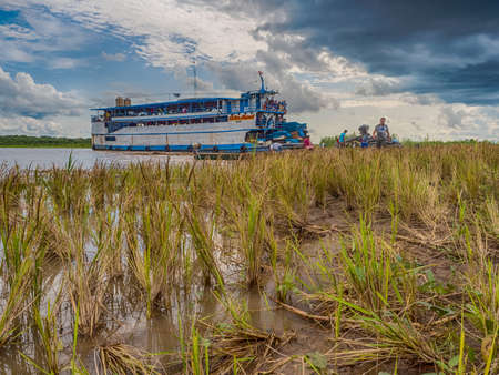 Amazon River, Peru - December 04 , 2018:  View of slow boat. Rice fields. on the island on the Amazon River. South Americaのeditorial素材