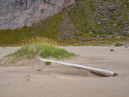 Big dune on the sandy, beautiful Bunes beach and green tents in background Lofoten, Norwayの写真素材