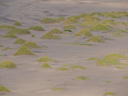 Dunes on the great, sandy, beautiful Bunes beach, Lofoten, Norway