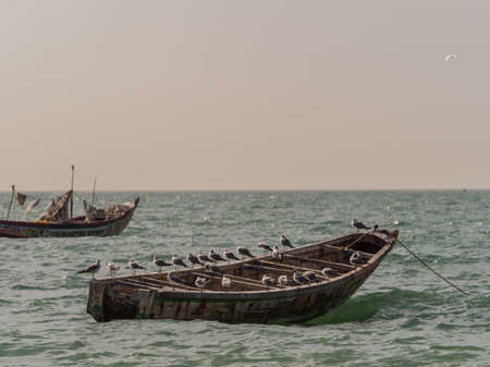 Nianing, Senegal - January 24, 2019: Colorful wooden fishing boats bouncing on the waves anchored far from the beach. africaのeditorial素材