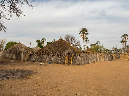 Senegal, Africa - January 2019: Traditional African small village with clay houses covered with palm leavesのeditorial素材
