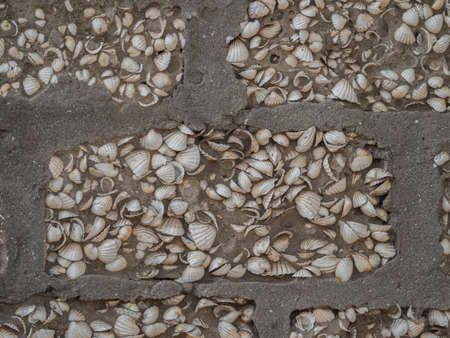 Background. Texture. Wall of a stone house lined with small shells in Senegal, West Africa.