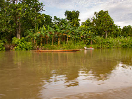 View of the Jungle on the bank of Brazza River, West Papua, Indonesia, Asiaの写真素材