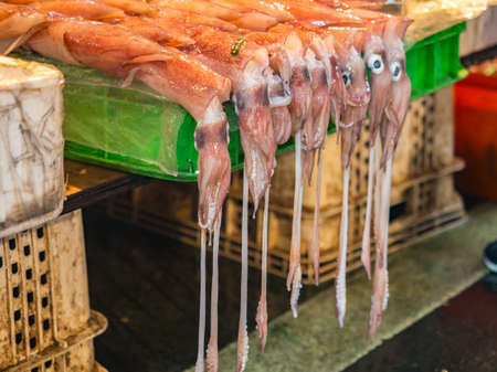 Fresh octopuses lie on the market stall at typical local bazaar in Taiwan with lots of local products. Taipei, Taiwan, Asiaの写真素材