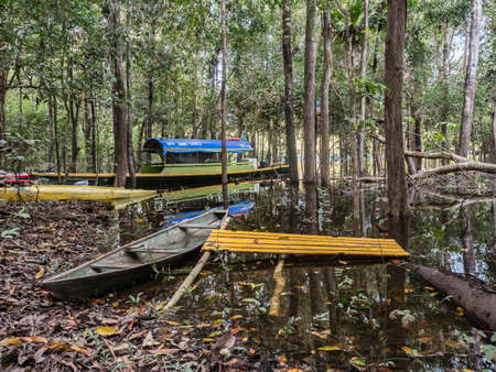 Jungle, Brazil - March, 2018: Boats and kayaks on the bank of the lagoon in the amazon jungle. Selva. Amazon. Latin Americaのeditorial素材
