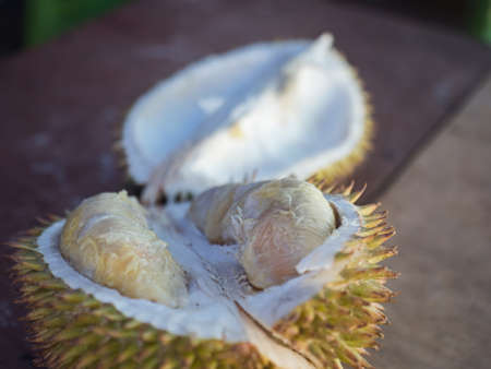 Durian fruit on street bazaar on the island of Ambon. Is the fruit of several tree species belonging...