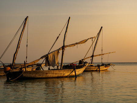 Traditional dhow boats during sunset time., Zanzibar, Tanzania, Africa