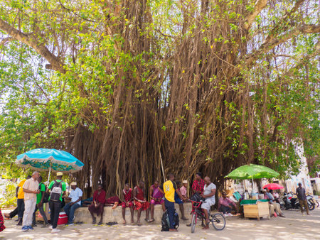 Stone, Town, Zanzibar - Feb 2021: A group of African Maasai warriors in traditional costumes rest under a giant fig tree in the center of Stone Town. Tanzania. Africa during the Covid-19 pandemicのeditorial素材