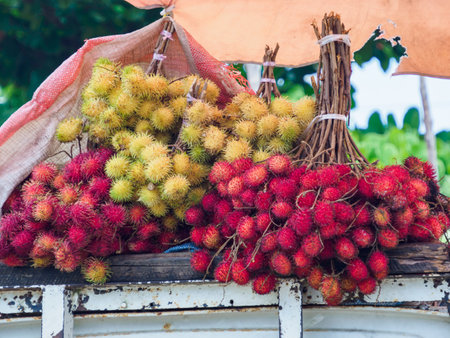 Fruits of the rambutan tree (Nephelium lappaceum) is a medium-sized tropical tree in the family Sapindaceae. Other know names: lychee, longan, pulasan and mamoncillo.の写真素材