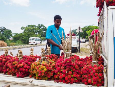 Zanzibar, Tanzania - Feb, 2021: Plenty of cluster of red lychee fruits sold directly from the car on street of Africa. Other known names: lychee, longan, pulasan, mamoncillo, rambutanのeditorial素材