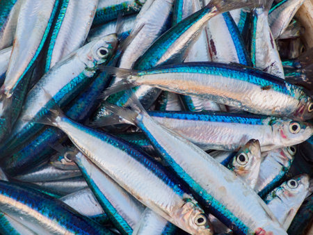 Freshly caught fish on a sandy beach in Zanzibar Island, Kizimkazi Fish Market, Tanzania, Africa