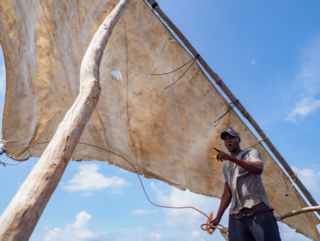 Zanzibar, Tanzania - January, 2021: Young African fisherman putting up the sail of a traditional dhow sailing boatのeditorial素材