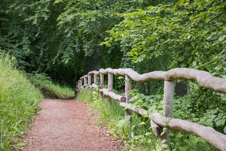 Hiking trail with wooden handrail around the AmtsSee lake in UNESCO-Biosphere reserve Schorfheide in Brandenburg - Germany (Amts lake close to the Chorin monastery), West Europeのeditorial素材