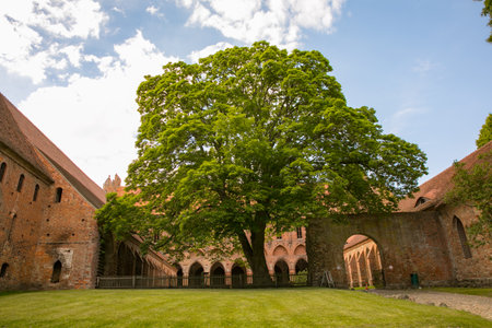 Brandenburg, Germany - June 10, 2017: Chorin Abbey (German - Kloster Chorin) in Brandenburg, Germany, Europeのeditorial素材