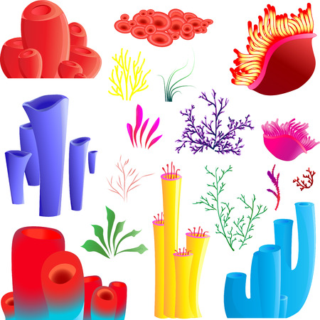 no mesh no blend. collectionのイラスト素材