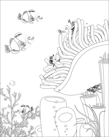 no mesh no blend. clown fish with coralsのイラスト素材