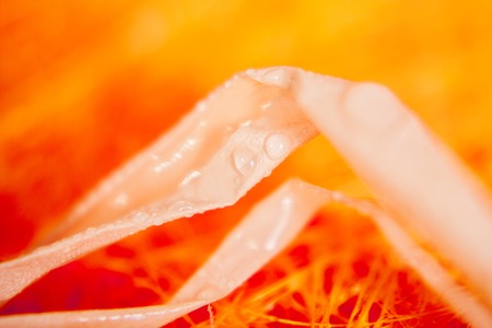 soft and tiny background of orange colorの写真素材