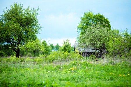 willage of Belarus agroturismの写真素材