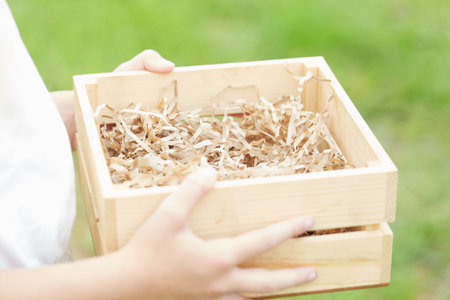 Hands holding a wooden box with wood shavings in the gardenの写真素材