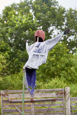 the scarecrow of the gardenの写真素材