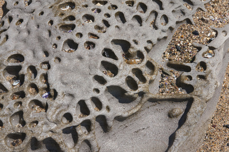 Australia Beachの写真素材