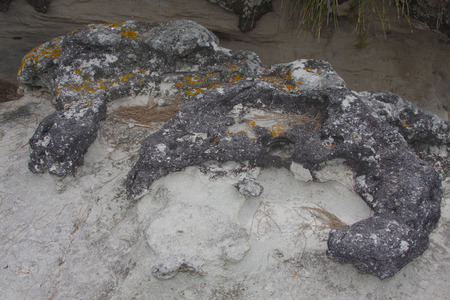 Australia Beachの写真素材