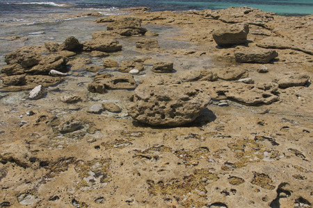 Australia Beachの写真素材