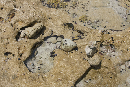 Australia Beachの写真素材
