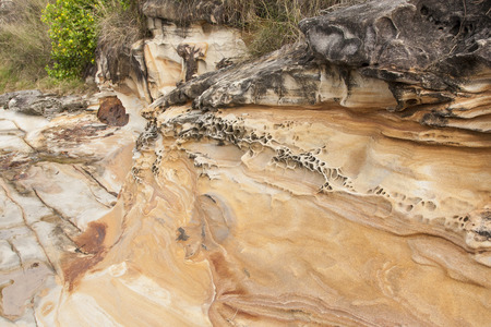 Umina Beach is a suburb within the the Central Coast of New South Wales, Australia.の写真素材